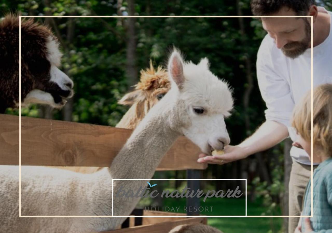 Baltic Natur Park - Holiday Resort นีคอร์เซ ภายนอก รูปภาพ